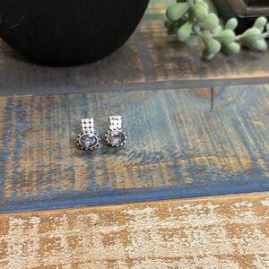 Chic Amethyst Stud Earrings